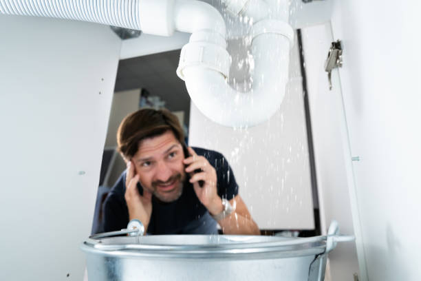 Best Plumbing Inspection Services  in Jerome, IL