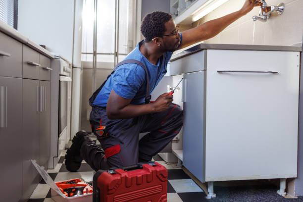 Best Plumbing Services Near Me  in Jerome, IL